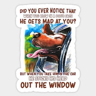 The dog likes to go out of the car window, Funny dog quotes Sticker